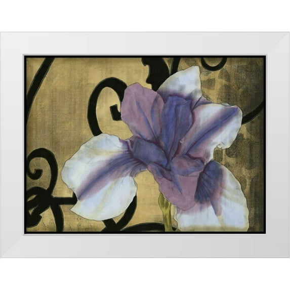Goldberger, Jennifer 24x19 White Modern Wood Framed Museum Art Print Titled - Iris and Scrolls II