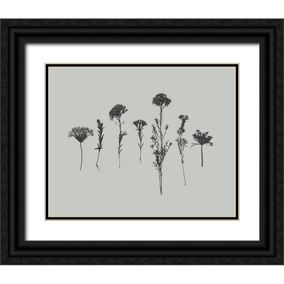 Goldberger, Jennifer 24x20 Black Ornate Wood Framed with Double Matting Museum Art Print Titled - Wildflower Memory II