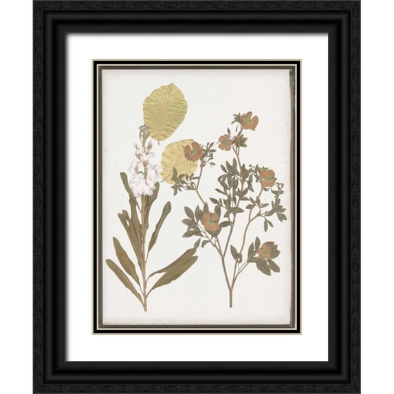 Goldberger, Jennifer 25x32 Black Ornate Wood Framed with Double Matting Museum Art Print Titled - Book-Pressed Flowers I