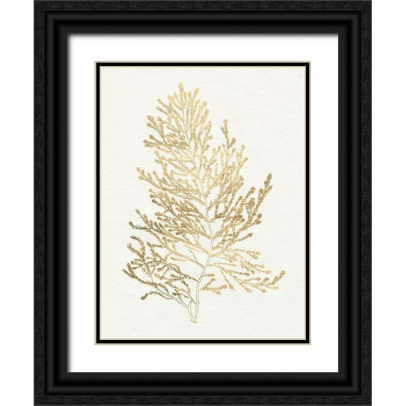 Goldberger, Jennifer 25x32 Black Ornate Wood Framed with Double Matting Museum Art Print Titled - Gilded Algae IV