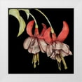 thumbnail image 1 of Goldberger, Jennifer 26x26 White Modern Wood Framed Museum Art Print Titled - Graphic Fuchsia II, 1 of 4