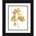 thumbnail image 1 of Goldberger, Jennifer 26x32 Black Ornate Wood Framed with Double Matting Museum Art Print Titled - Fall Study I, 1 of 4