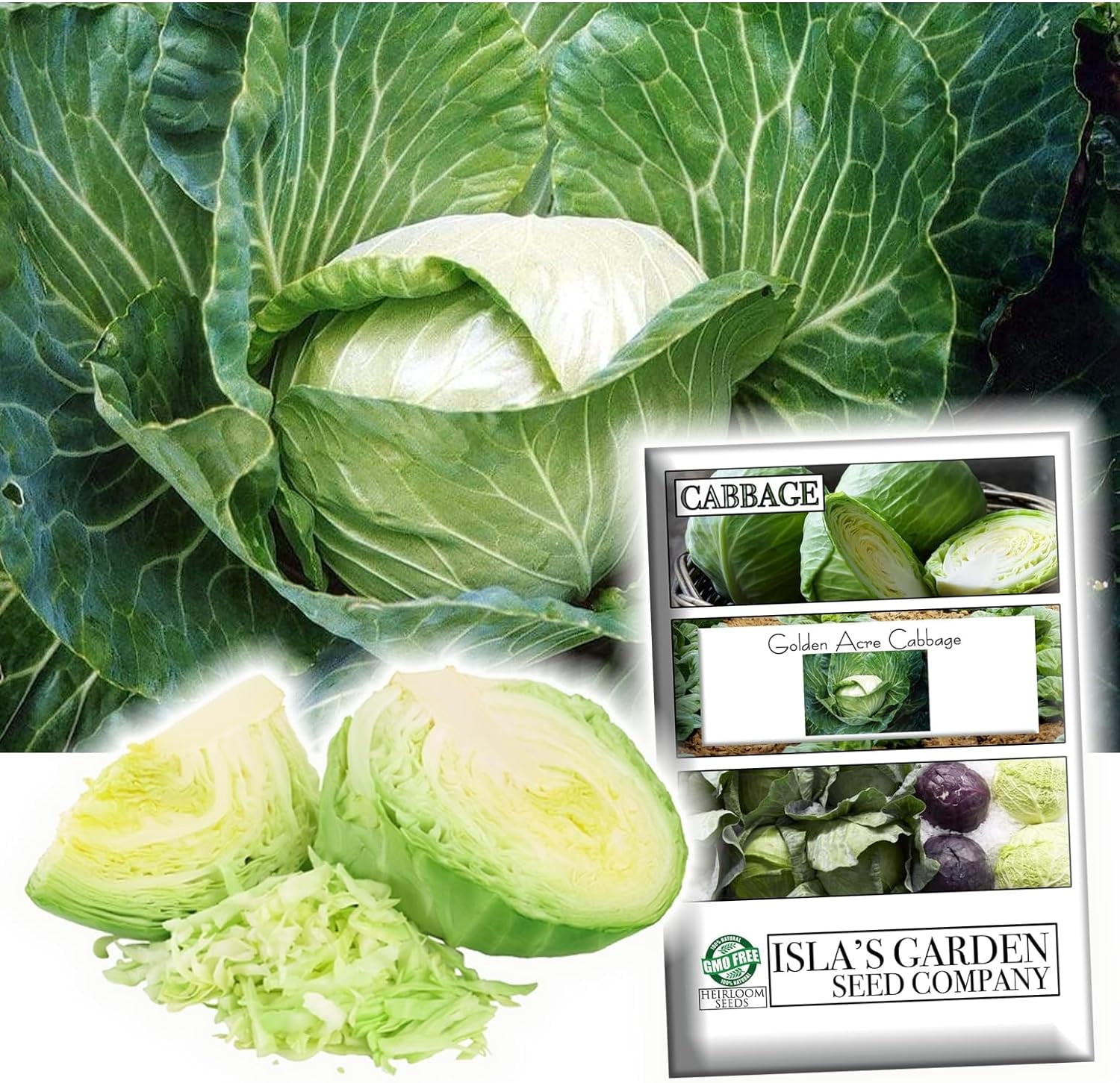 Golden Acre Cabbage Seeds for Planting, 500+ Heirloom Seeds Per Packet ...
