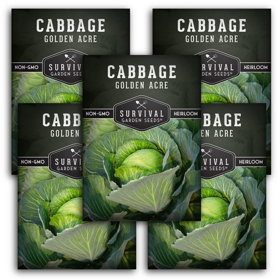 Golden Acre Green Cabbage Seeds - 5 Pack - Non-GMO Heirloom Full Sun Biennial Vegetable