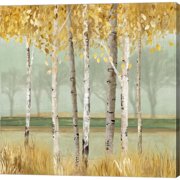 Golden Birch by Allison Pearce, Canvas Wall Art