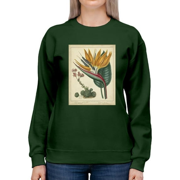 Golden Bird Of Paradise Sweatshirt Women -Sydenham Edwards Designs, Female 5X-Large