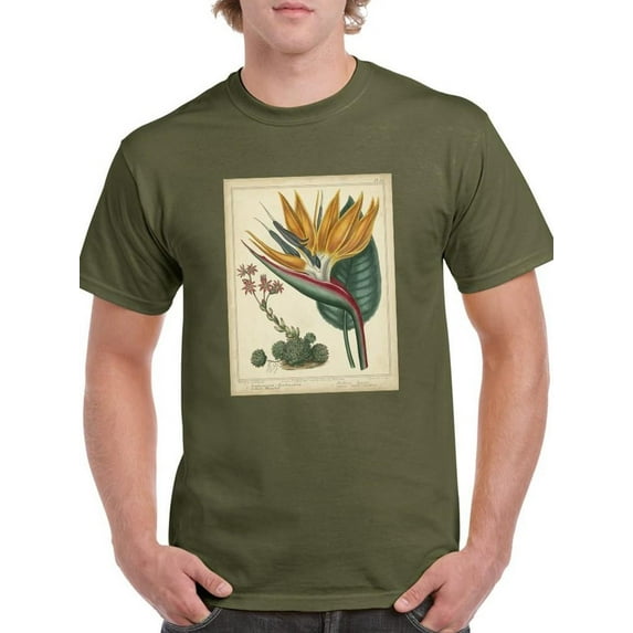 Golden Bird Of Paradise T-Shirt Men -Sydenham Edwards Designs, Male 4X-Large