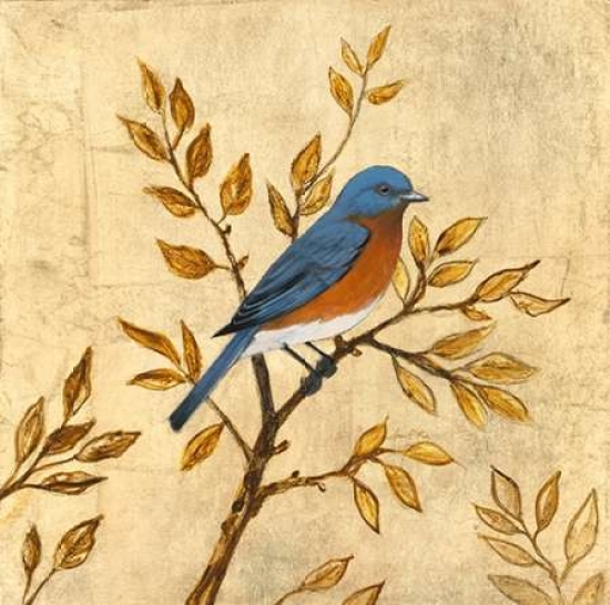Golden Bluebird Canvas Art - Arnie Fisk (24 x 24)