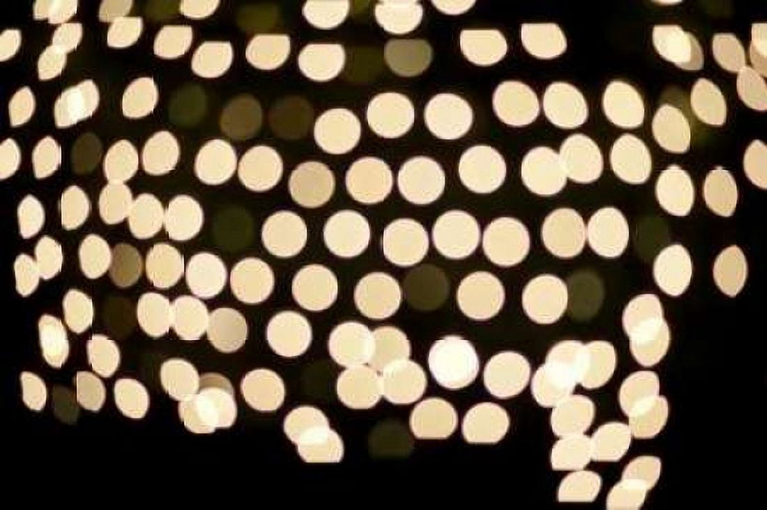Golden Bokeh I Canvas Art - Erin Berzel (12 x 18)