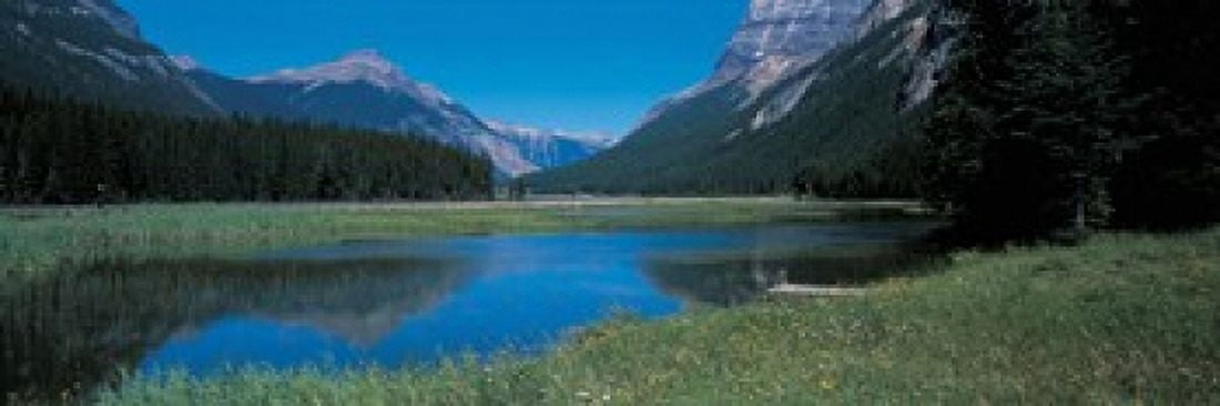 Golden British Columbia Canada Canvas Art - Panoramic Images (36 x 12)