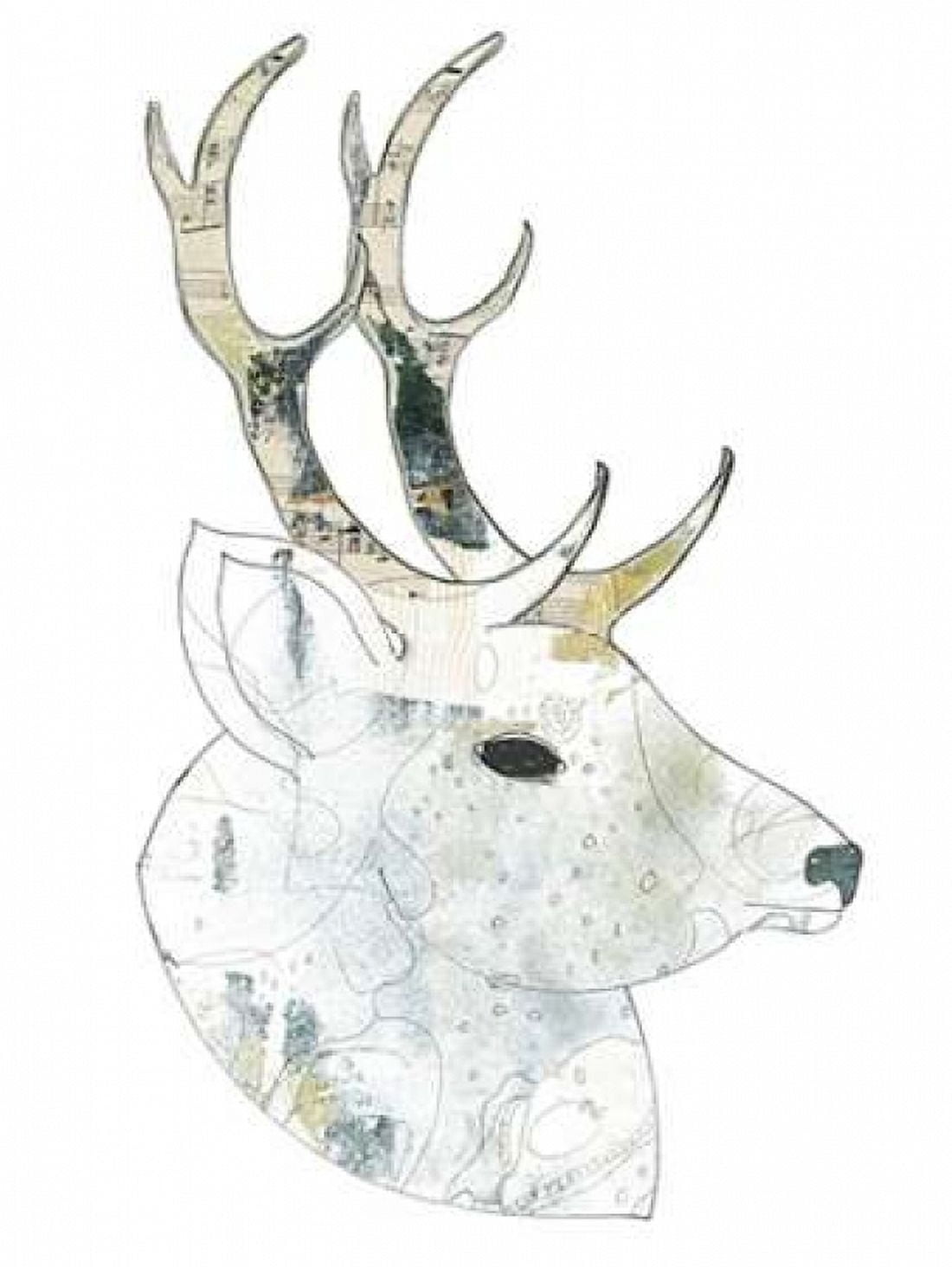 Golden Buck Canvas Art - Sarah Ogren (22 x 28)
