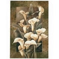 thumbnail image 1 of Golden Calla Lilies Poster Print by Linda Thompson, 1 of 2