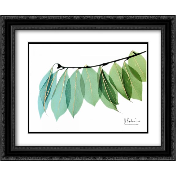 Golden Camelia Leaf 2x Matted 24x20 Black Ornate Framed Art Print by Koetsier, Albert