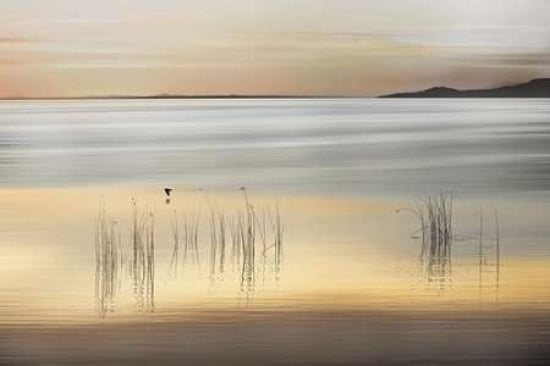 Golden Canvas Art - Marvin Pelkey (12 x 18)