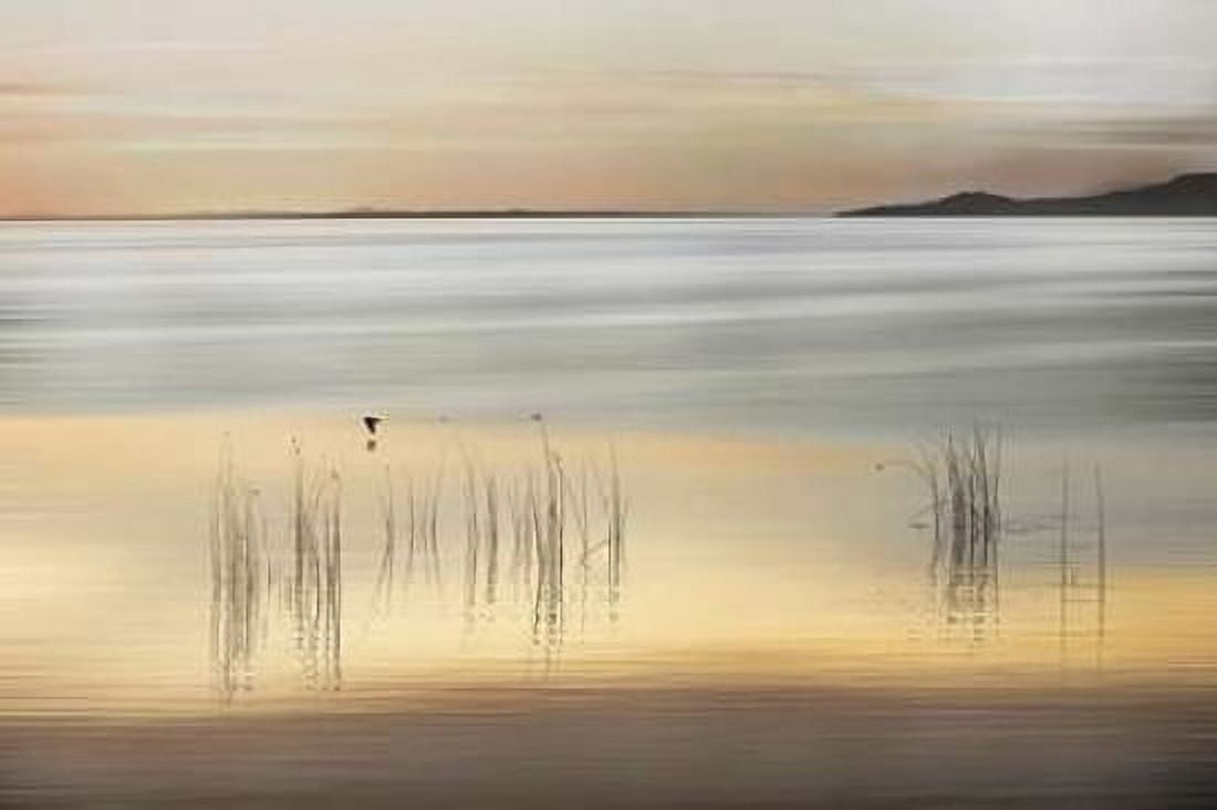 Golden Canvas Art - Marvin Pelkey (24 x 36)
