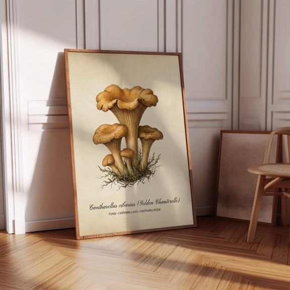 Golden Chanterelle Mushroom Vintage Botanical Fungi Wall Art Old Money Aesthetic Decor For Kitchen Dining Farmhouse Wall Art, Unframed Paper Print