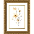thumbnail image 1 of Golden, Corrie 17x24 Gold Ornate Wood Framed with Double Matting Museum Art Print Titled - Morning Glory II, 1 of 4