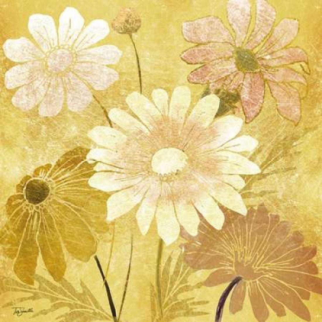 Golden Daisy Patch II Canvas Art - Tre Sorelle Studios (24 x 24)