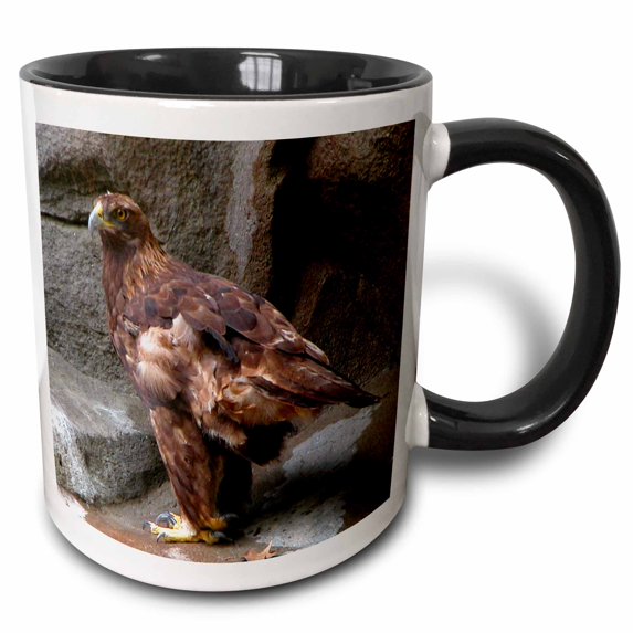 3drose, Golden Eagle, 11oz Two-tone Black Mug