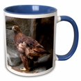 thumbnail image 1 of 3drose, Golden Eagle, 11oz Two-tone Blue Mug, 1 of 6