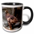 thumbnail image 1 of 3drose, Golden Eagle, 15oz Two-tone Black Mug, 1 of 6