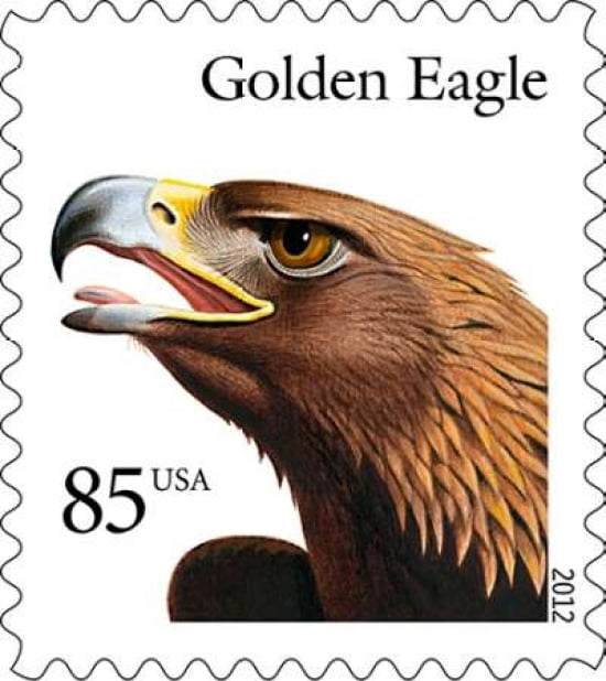 Golden Eagle #2 Canvas Art - US POSTAL SERVICE (24 x 24)