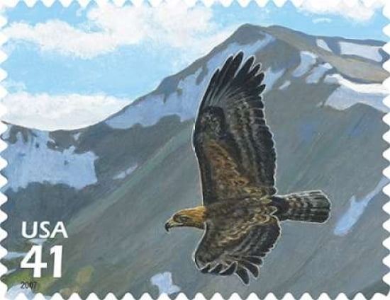 Golden Eagle Canvas Art - US POSTAL SERVICE (22 x 28)
