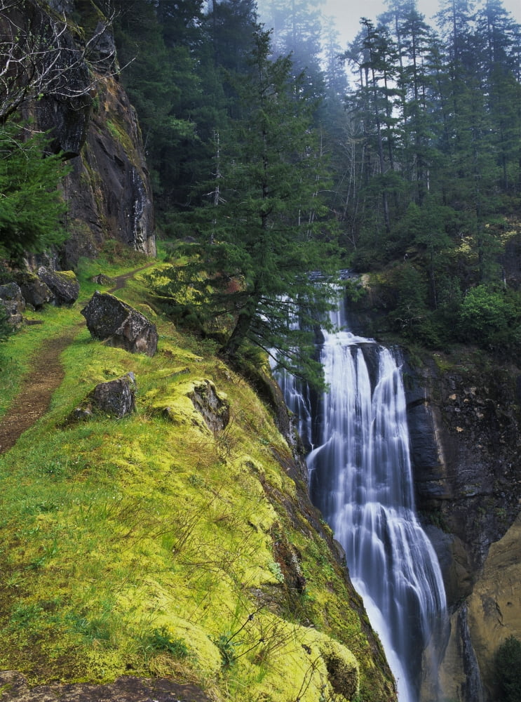 Golden Falls plunges over the cliffs Allegany Oregon United States of America Canvas Art - Robert L Potts Design Pics (13 x 18)