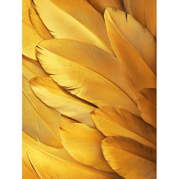 Golden Feathers Decorative Painting/Canvas Art Suitable for Decorating Living Room Bedroom Office Dining Room Hotel Gallery Studio Study Room Home Decoration.