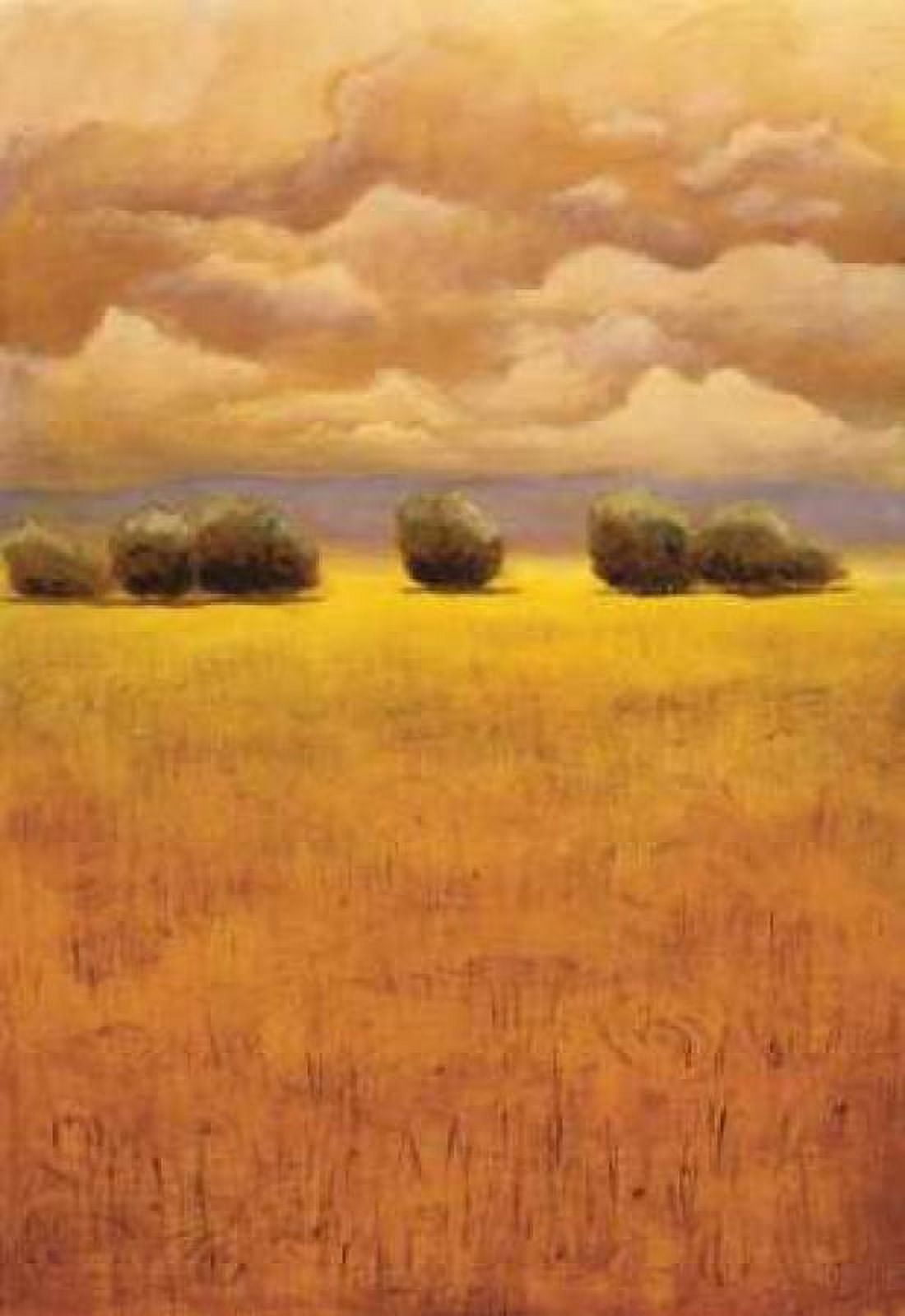 Golden Fields II Canvas Art - Thomas Girard (20 x 28)