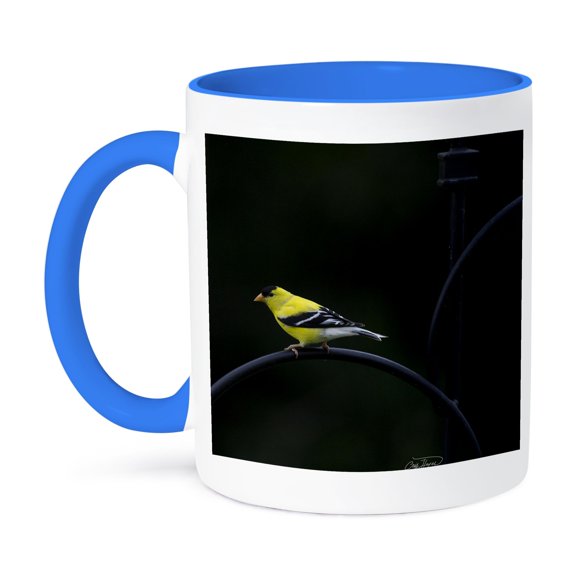 3dRose, Golden Finch in Spring Displaying Bright Colors, 11oz Two-Tone Blue Mug