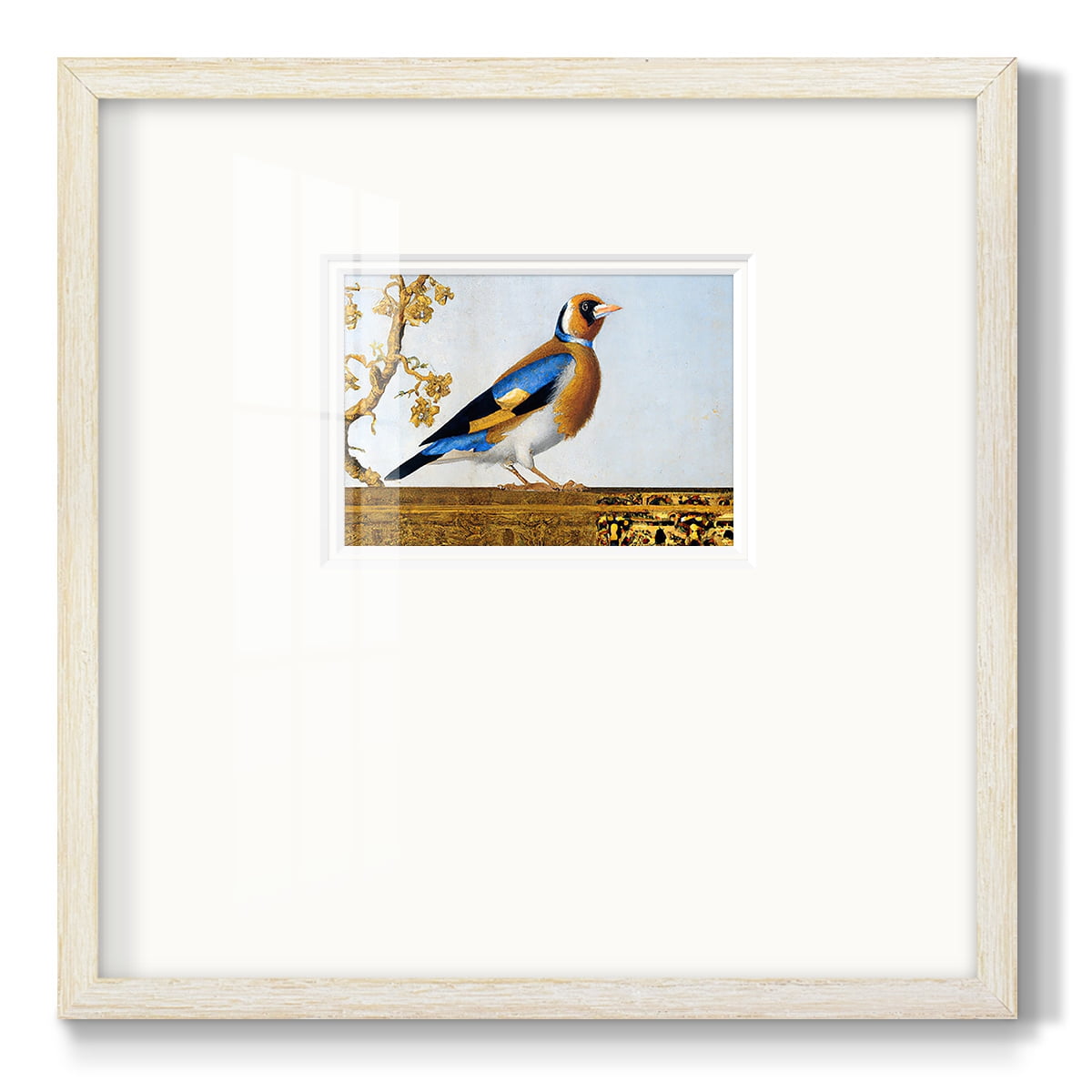 Golden FinchPremium Framed Print