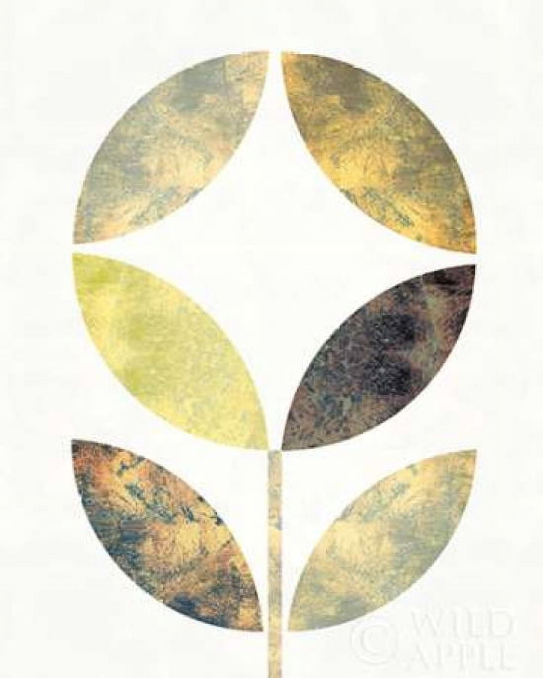 Golden Flower II Canvas Art - Michael Mullan (24 x 30)