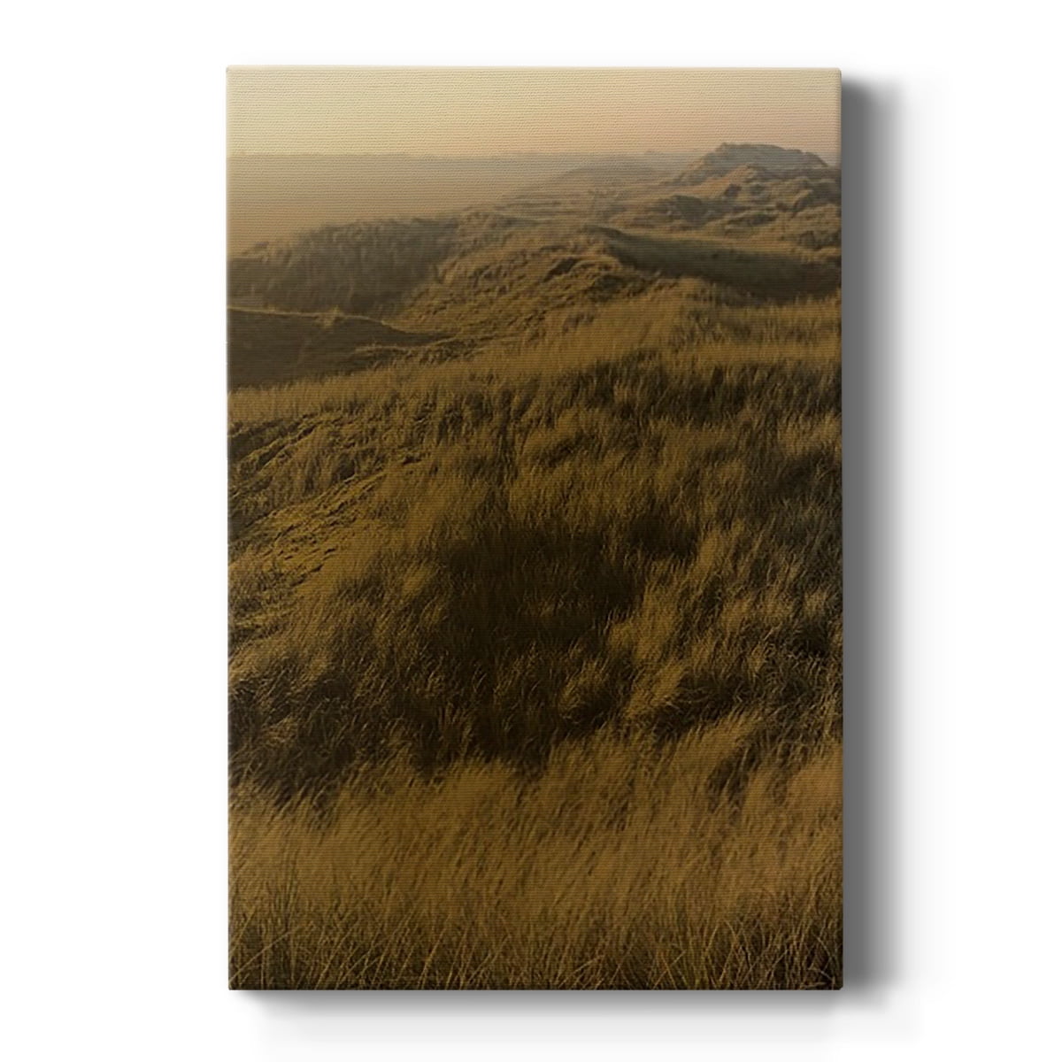 Golden Fog I Premium Gallery Wrapped Canvas - Ready to Hang