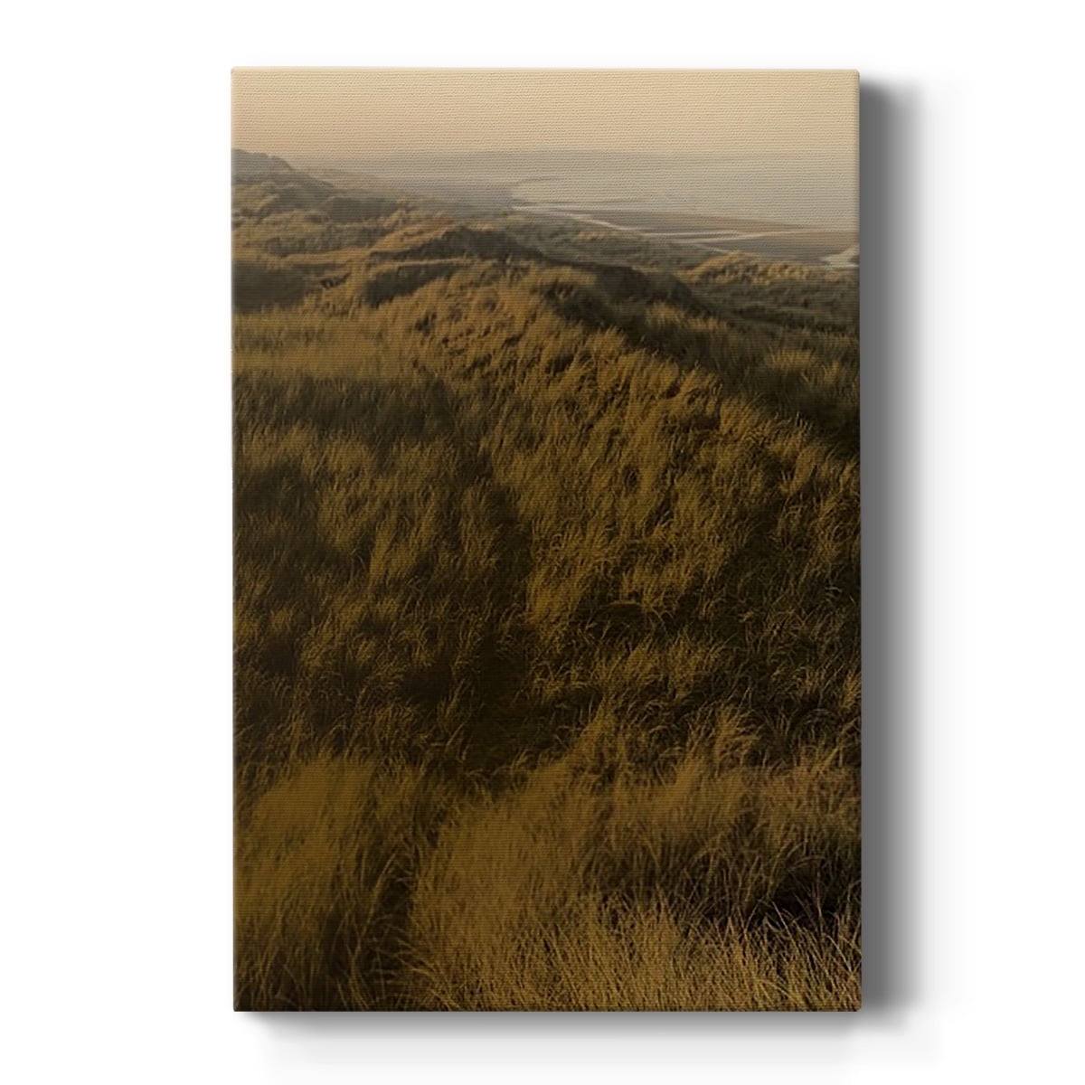 Golden Fog II Premium Gallery Wrapped Canvas - Ready to Hang