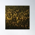 thumbnail image 1 of Golden Forest Tree Poster Wall Art, Modern Wall Decor, 30x30 UNFRAMED, 1 of 3