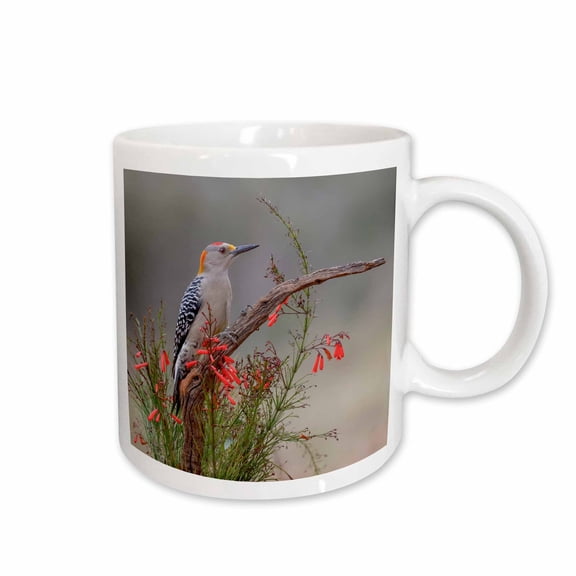 3drose, Golden Fronted Woodpecker, Rio Grande Valley, Texas, 15oz Mug