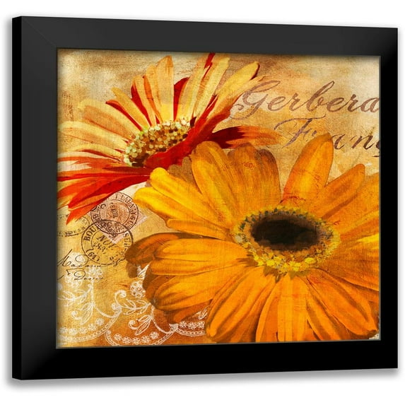 Golden Gerbera II 15x15 Black Modern Framed Museum Art Print Titled - Art Licensing Studio