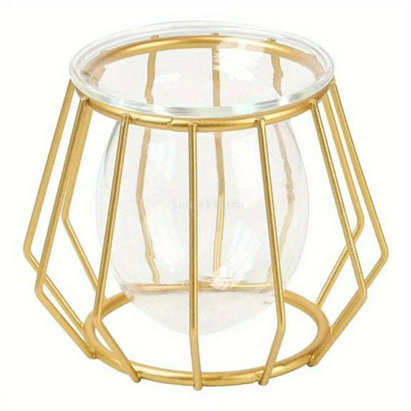 Golden Glass Vase Terrarium Geometric Iron Line Vase Hydroponic Plant Flower Vase Metal Plant Holder Home Decor Modern