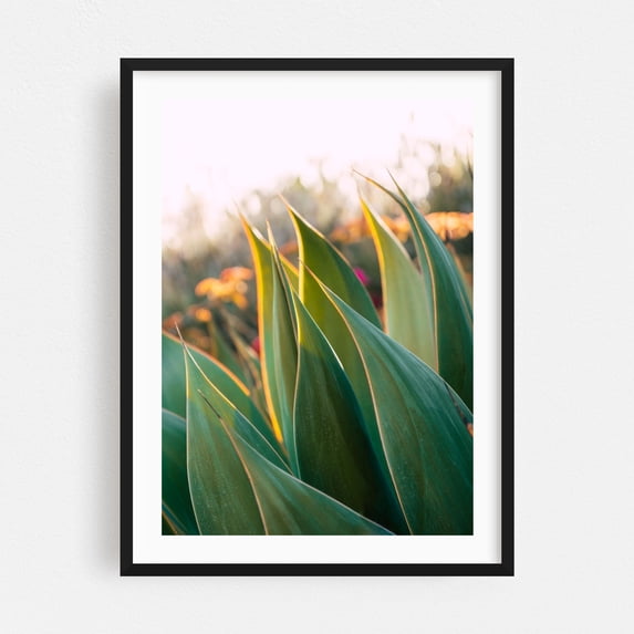 Golden Glow - Huntington Beach California Photography Botanical Nature Tropical Garden Abstract Minimalist Black Framed Wall Art Print 6 x 8 inches