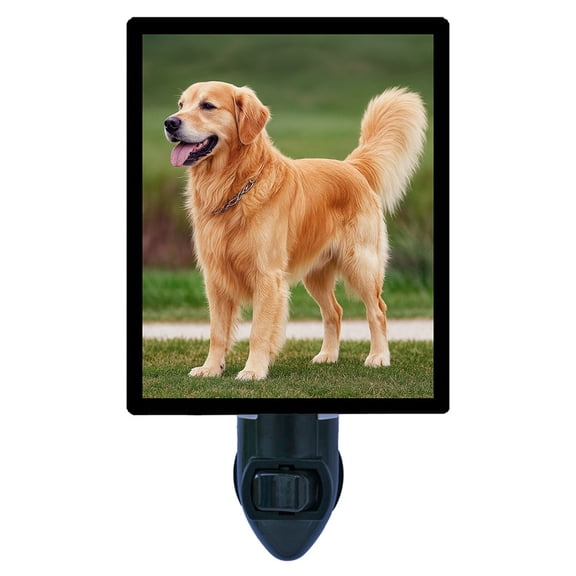Golden Guard Night Light Loyal Golden Retriever Art, Faithful Dog Companion, Pet Lover Gift, Free Switchable Insert