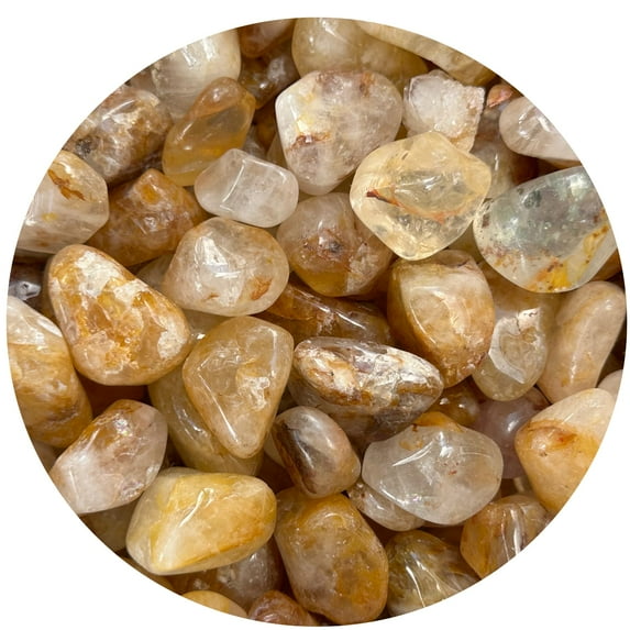 Golden Healer Quartz Tumbled Stones, Polished Natural Golden Healer Quartz Gemstone, Golden Healer Quartz Healing Crystals (Golden Healer Quartz, 0.5 Pound)