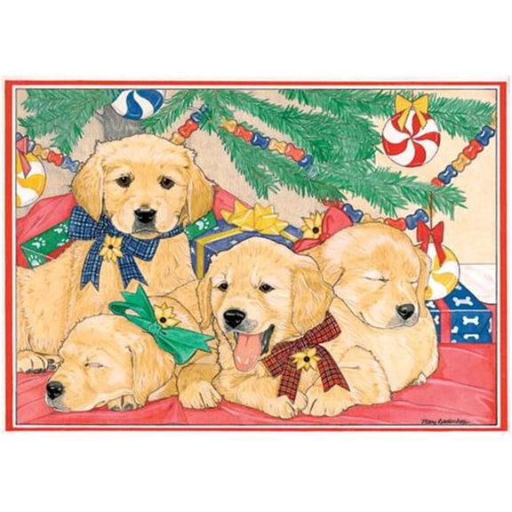 Golden Holiday Boxed Cards