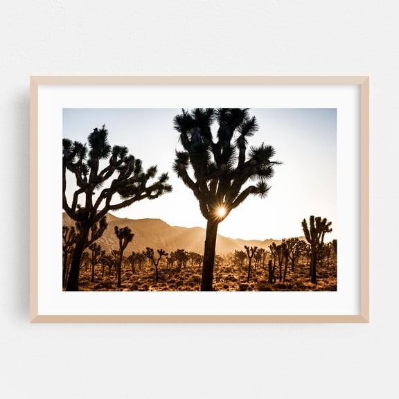 Golden Horizon - California Photography Oak Framed Wall Art Print 20 x 30 inches