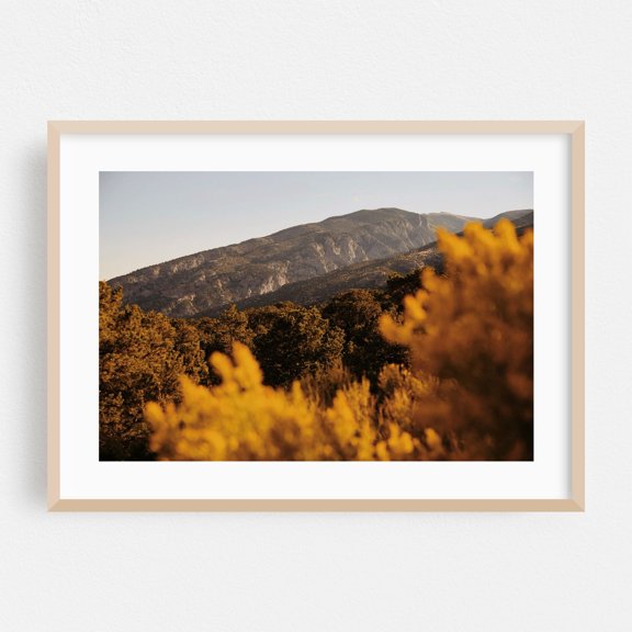 Golden Hour in Mosca - Colorado Photography Mountain Landscape Nature Autumn Scenic Wilderness Forest Oak Framed Wall Art Print 5 x 7 inches