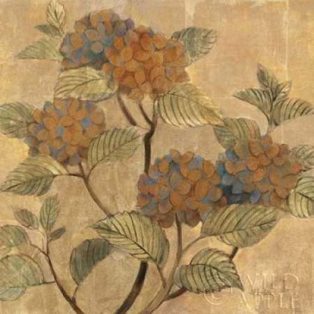 Golden Hydrangea Canvas Art - Albena Hristova (24 x 24)