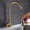Golden Kitchen Single Drag The Faucet Out of Spray Head Sink Cold Water