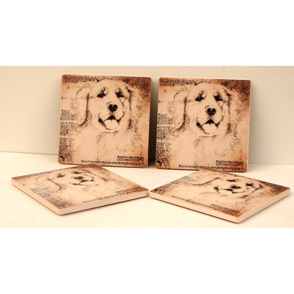 Golden Lab Coasters Set of 4