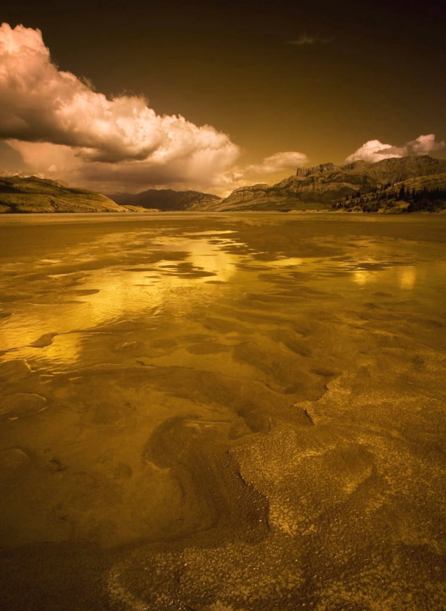 Golden Landscape Canvas Art - Darren Greenwood Design Pics (11 x 16)