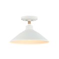 thumbnail image 1 of Golden Lighting Journey 1-light Semi-Flush Mount in Natural White, 1 of 4